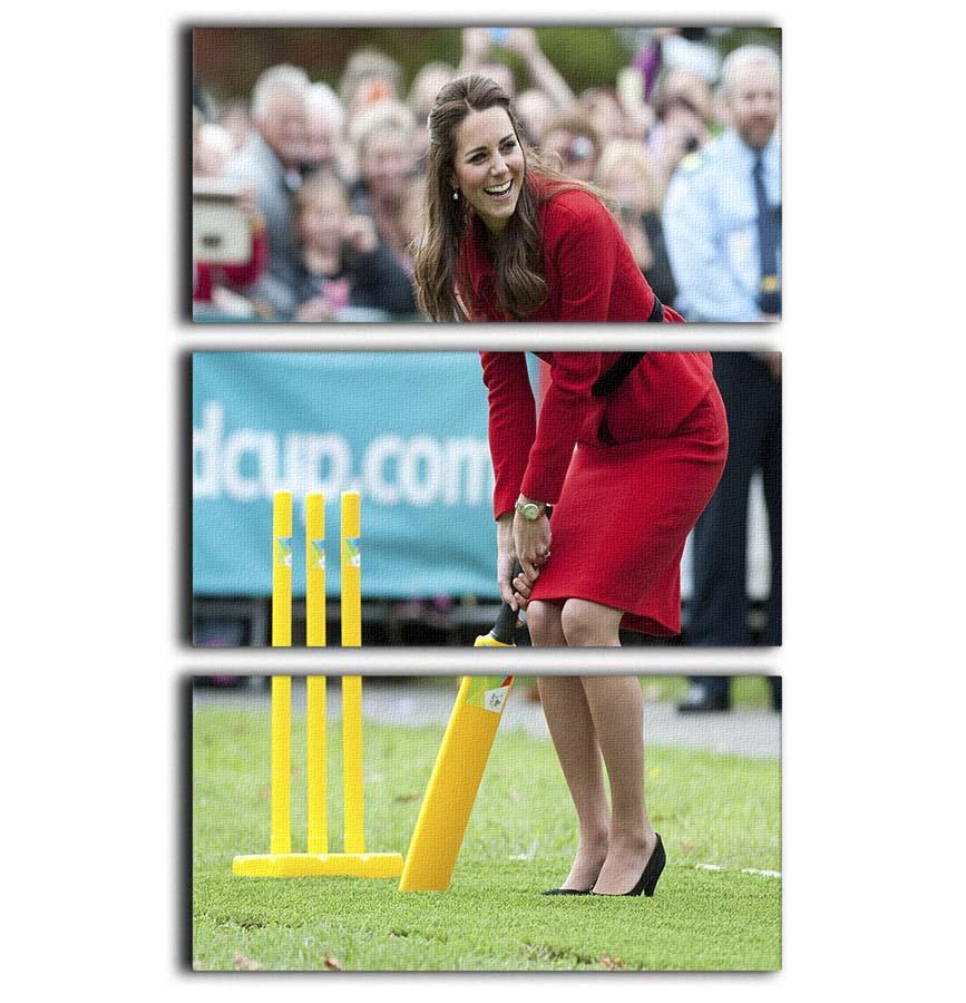 Prince William and Kate playing cricket in New Zealand 3 Split Panel Canvas Print - Canvas Art Rocks - 1