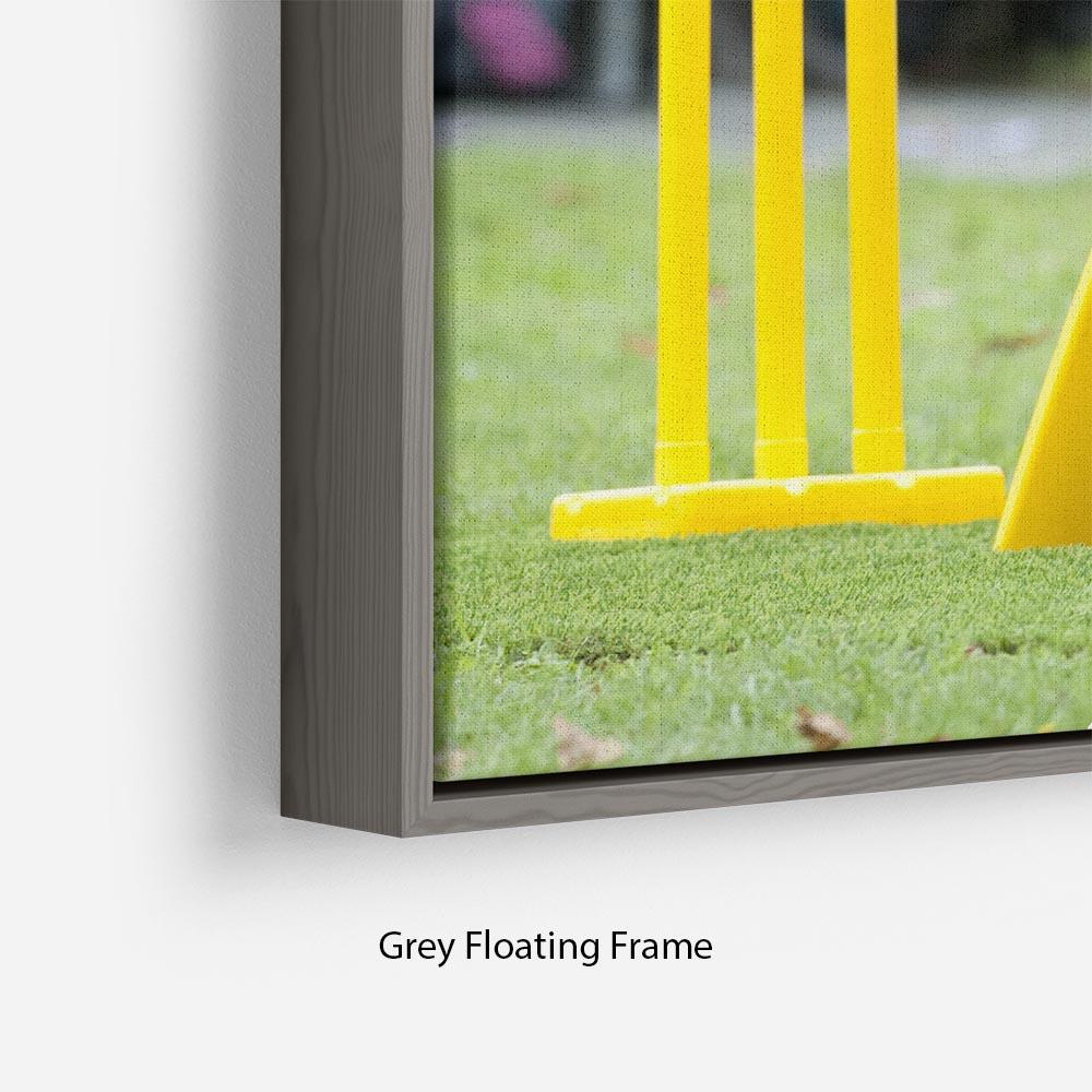 Prince William and Kate playing cricket in New Zealand Floating Frame Canvas