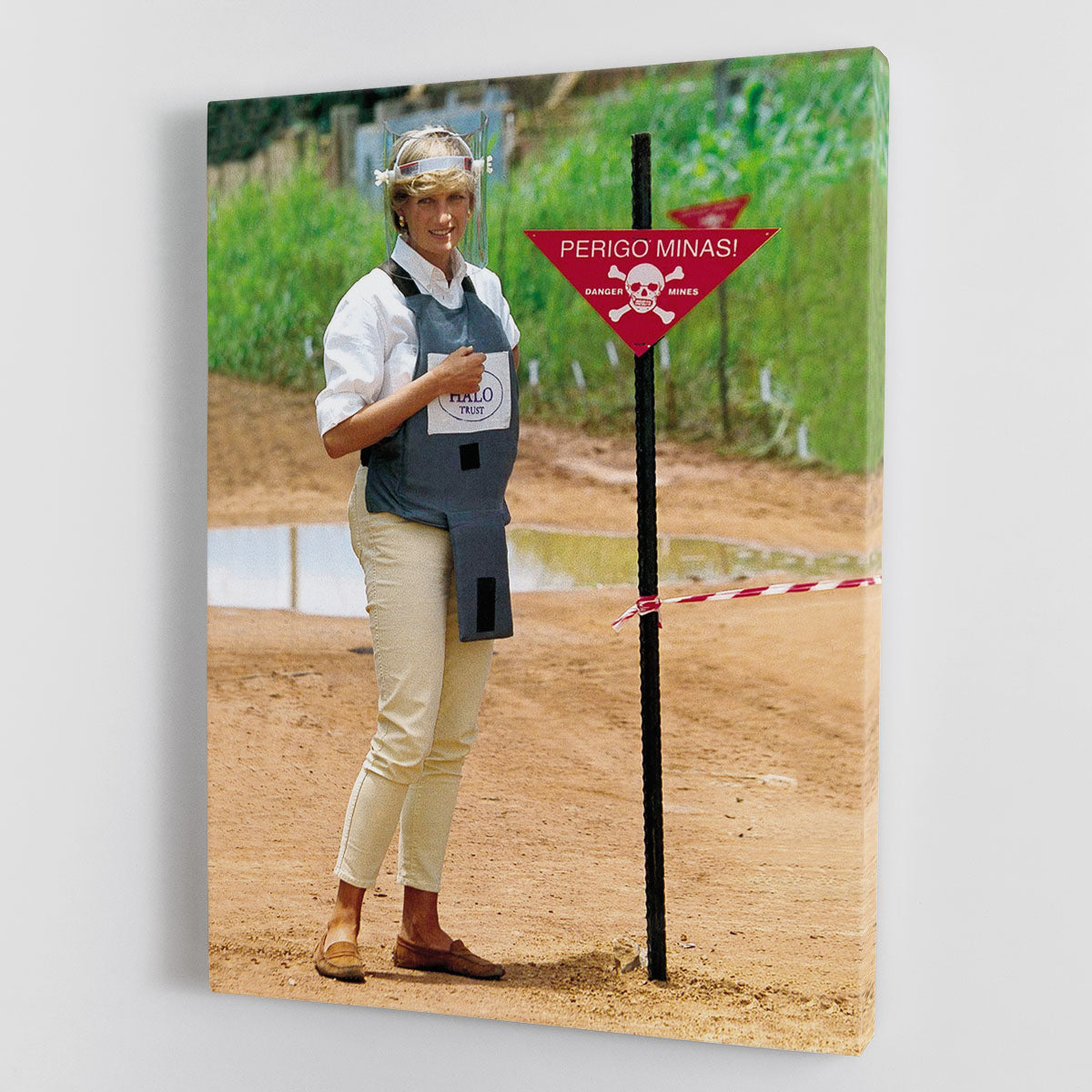 Princes Diana at a mine field in Angola for a Red Cross visit Canvas Print or Poster - Canvas Art Rocks - 1