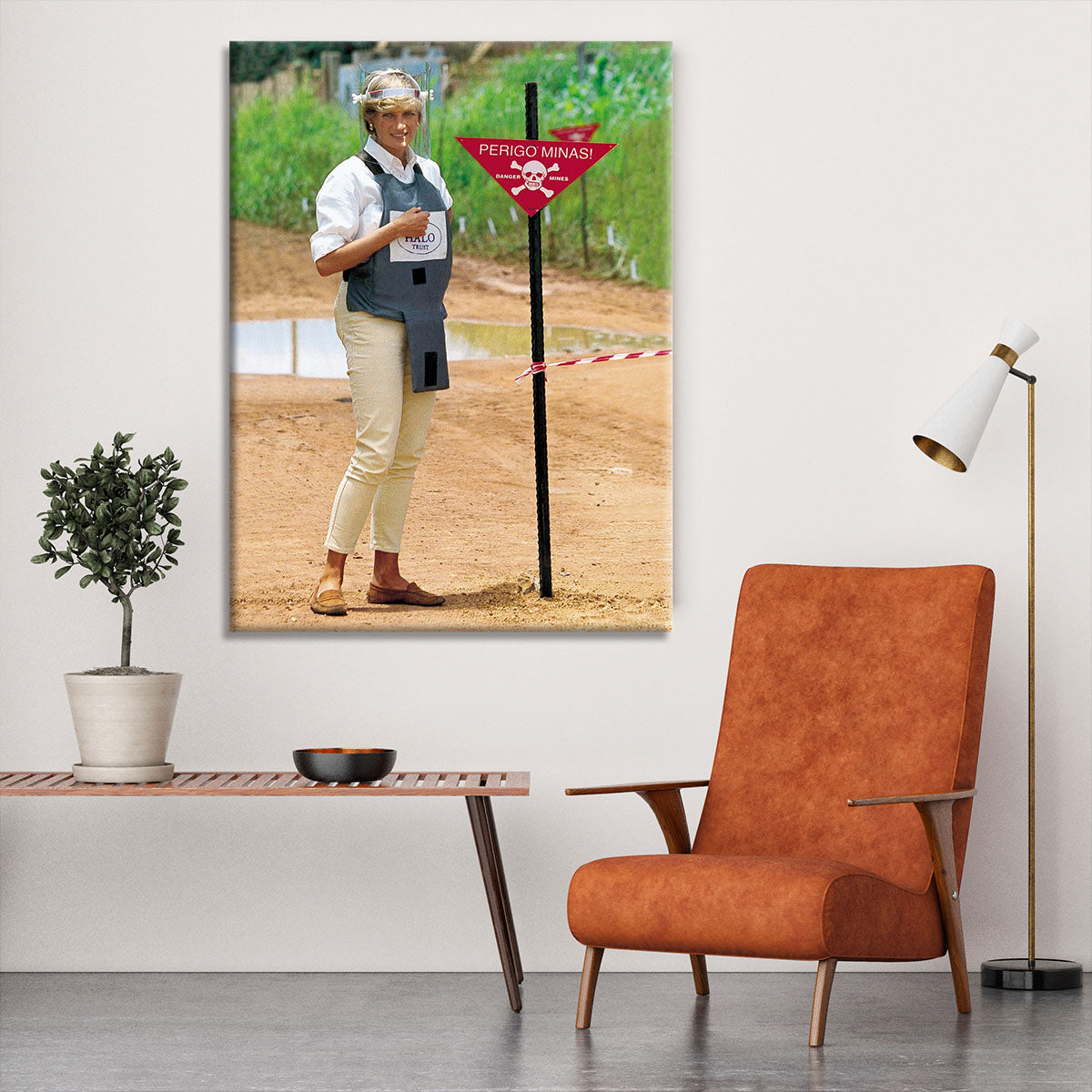 Princes Diana at a mine field in Angola for a Red Cross visit Canvas Print or Poster - Canvas Art Rocks - 6