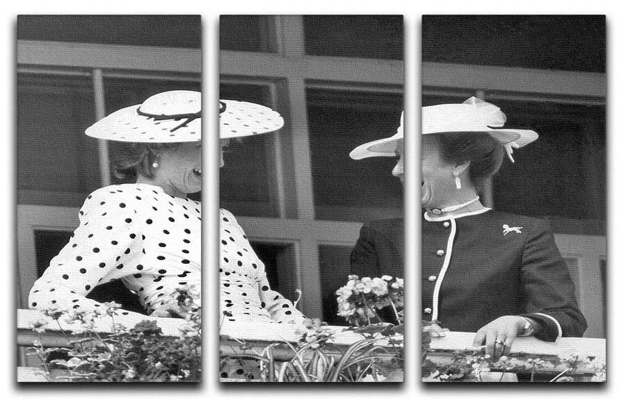 Princess Diana and Princess Anne sharing a laugh at the races 3 Split Panel Canvas Print - Canvas Art Rocks - 1
