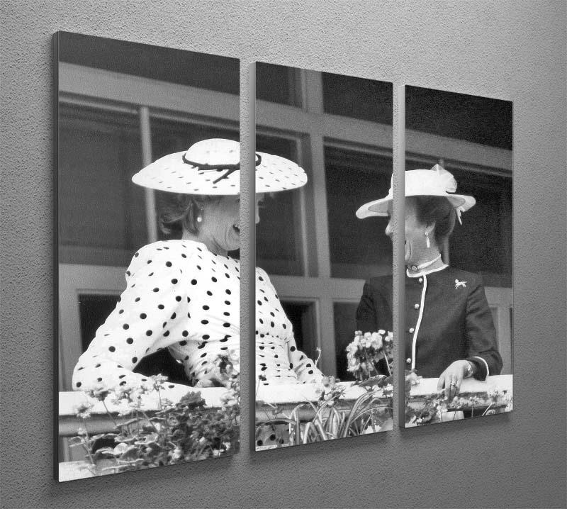 Princess Diana and Princess Anne sharing a laugh at the races 3 Split Panel Canvas Print - Canvas Art Rocks - 2