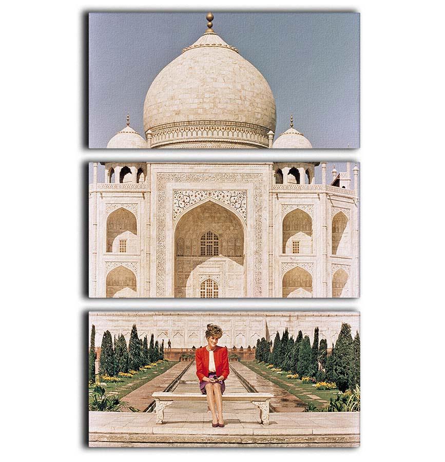 Princess Diana at the Taj Mahal in India 3 Split Panel Canvas Print - Canvas Art Rocks - 1