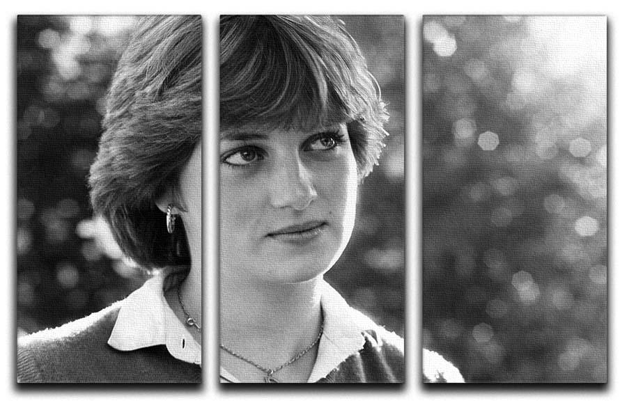 Princess Diana meeting the press for the first time 3 Split Panel Canvas Print - Canvas Art Rocks - 1