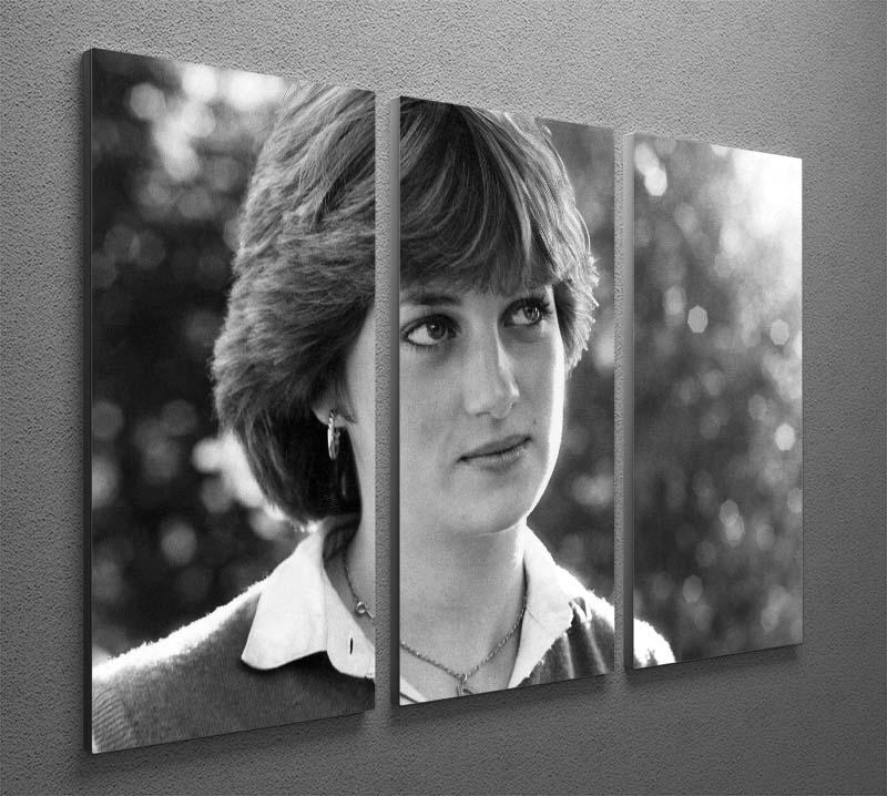Princess Diana meeting the press for the first time 3 Split Panel Canvas Print - Canvas Art Rocks - 2