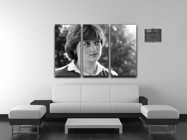 Princess Diana meeting the press for the first time 3 Split Panel Canvas Print - Canvas Art Rocks - 3