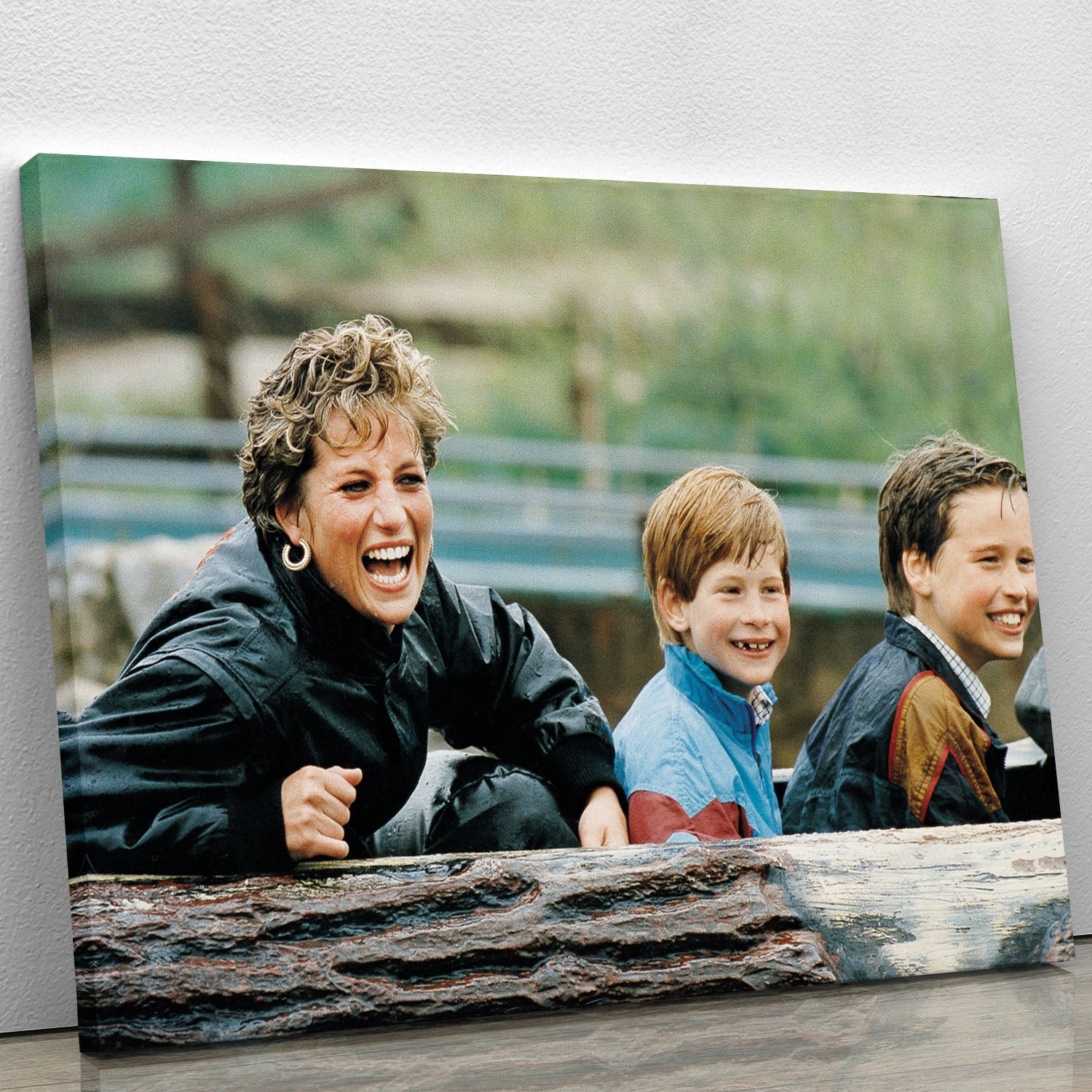 Princess Diana with Prince William and Prince Harry on ride Canvas Print or Poster - Canvas Art Rocks - 1