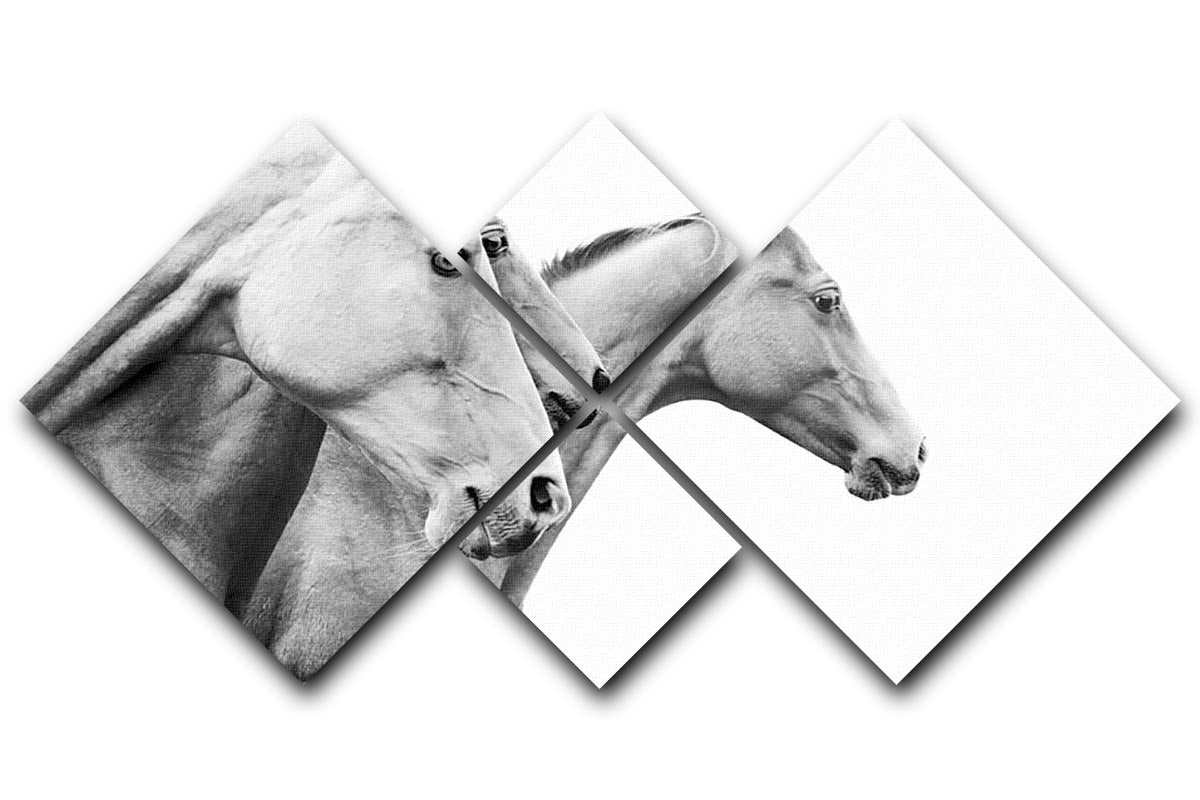 Purebred horses 4 Square Multi Panel Canvas - Canvas Art Rocks - 1