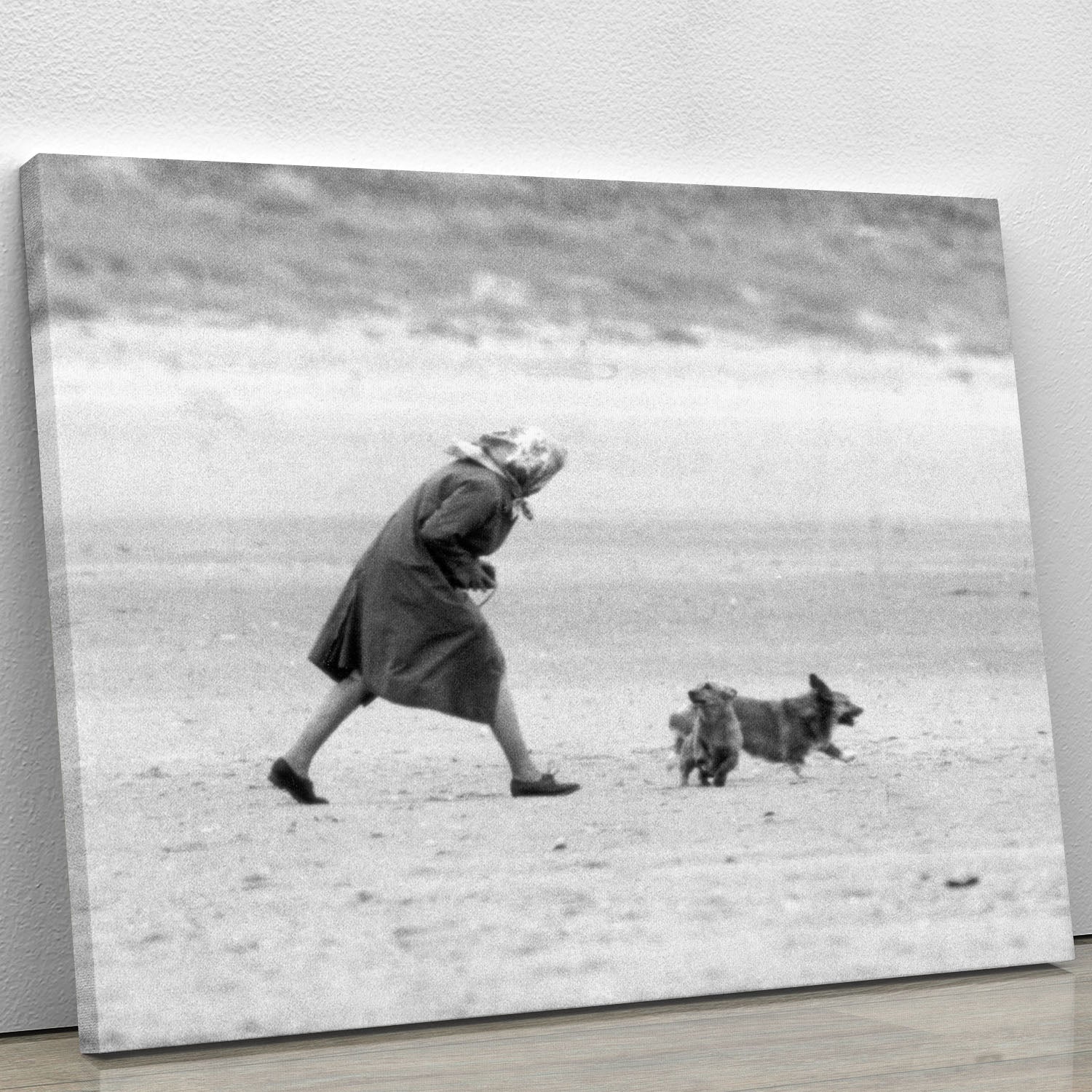 Queen Elizabeth II walking her pet corgis on a Norfolk beach Canvas Print or Poster - Canvas Art Rocks - 1