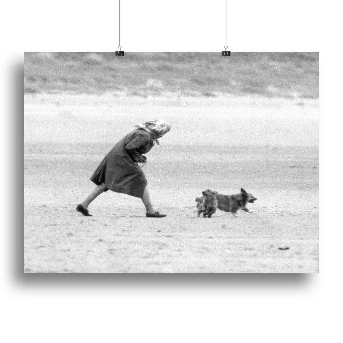 Queen Elizabeth II walking her pet corgis on a Norfolk beach Canvas Print or Poster - Canvas Art Rocks - 2