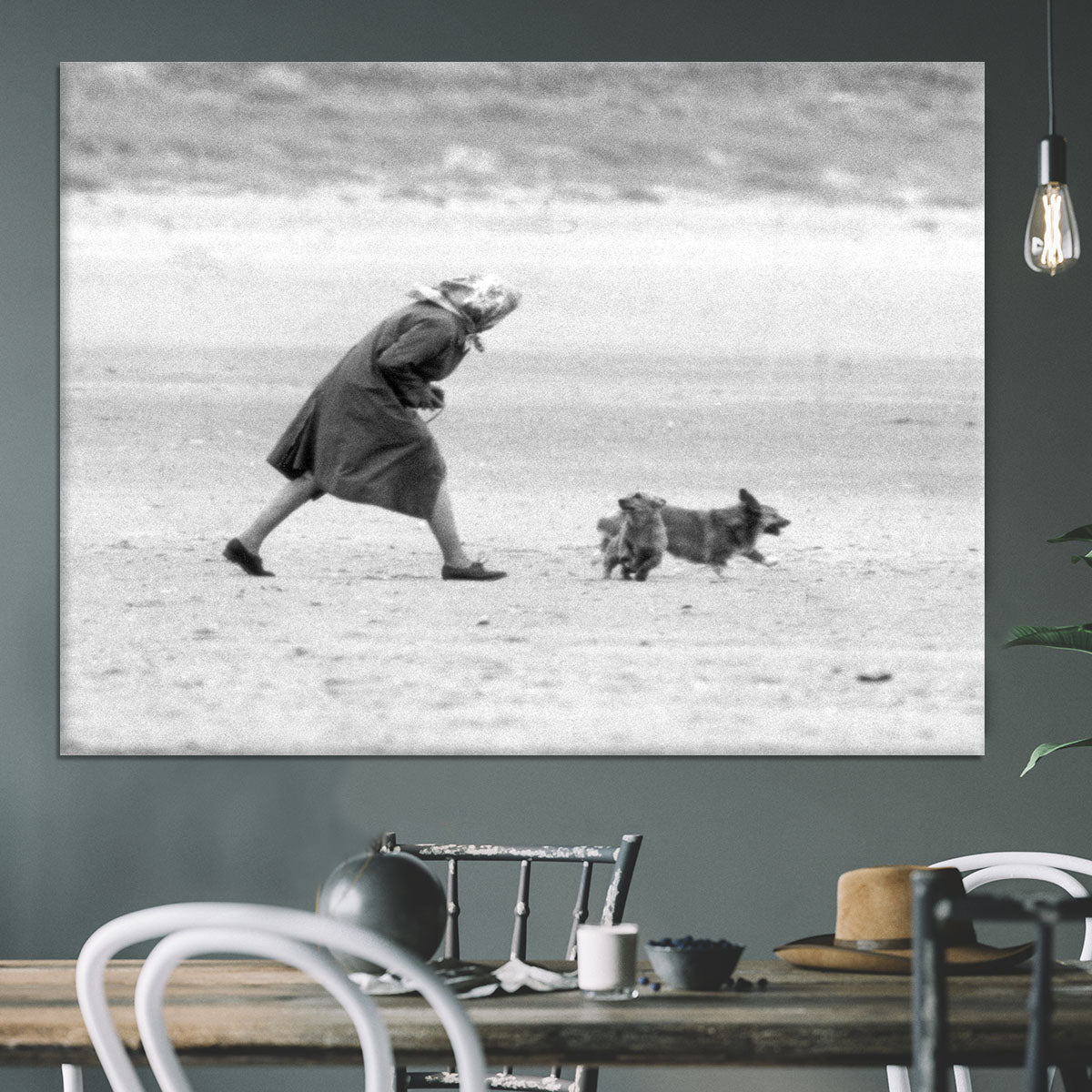 Queen Elizabeth II walking her pet corgis on a Norfolk beach Canvas Print or Poster - Canvas Art Rocks - 3