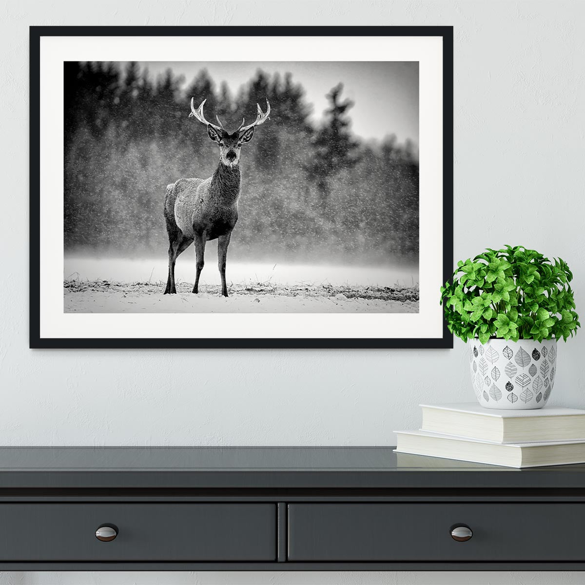 Red Deer Stag Framed Print - Canvas Art Rocks - 1