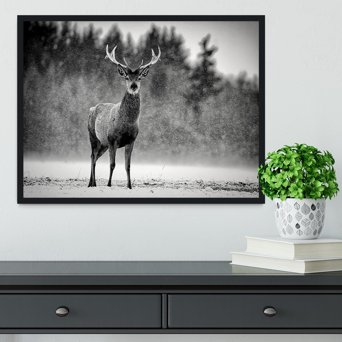Red Deer Stag Framed Print - Canvas Art Rocks - 2