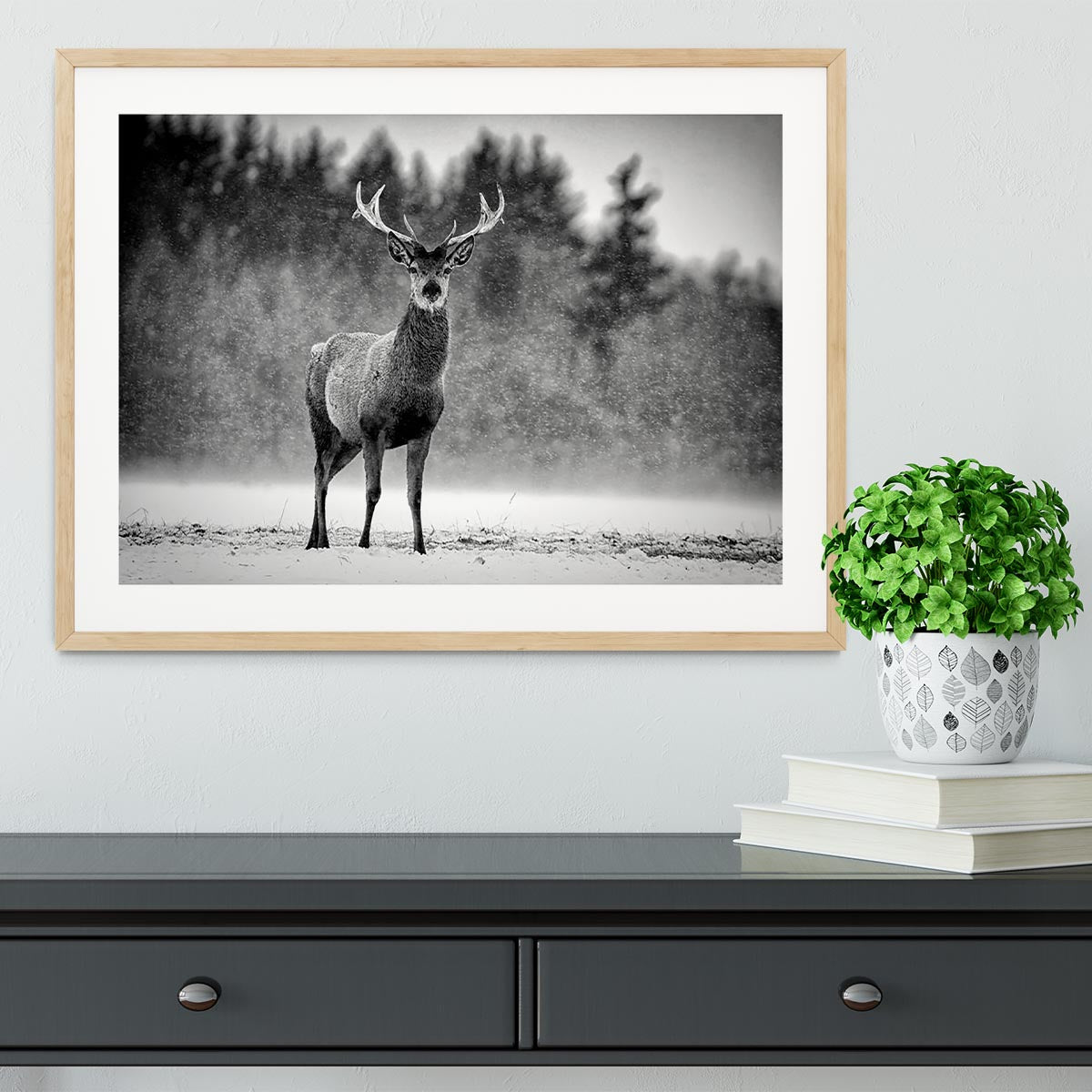 Red Deer Stag Framed Print - Canvas Art Rocks - 3