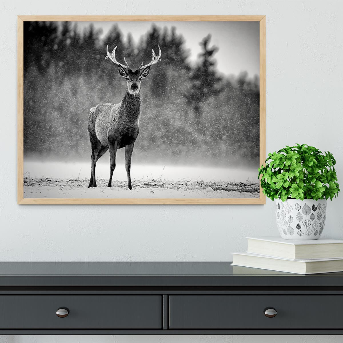 Red Deer Stag Framed Print - Canvas Art Rocks - 4