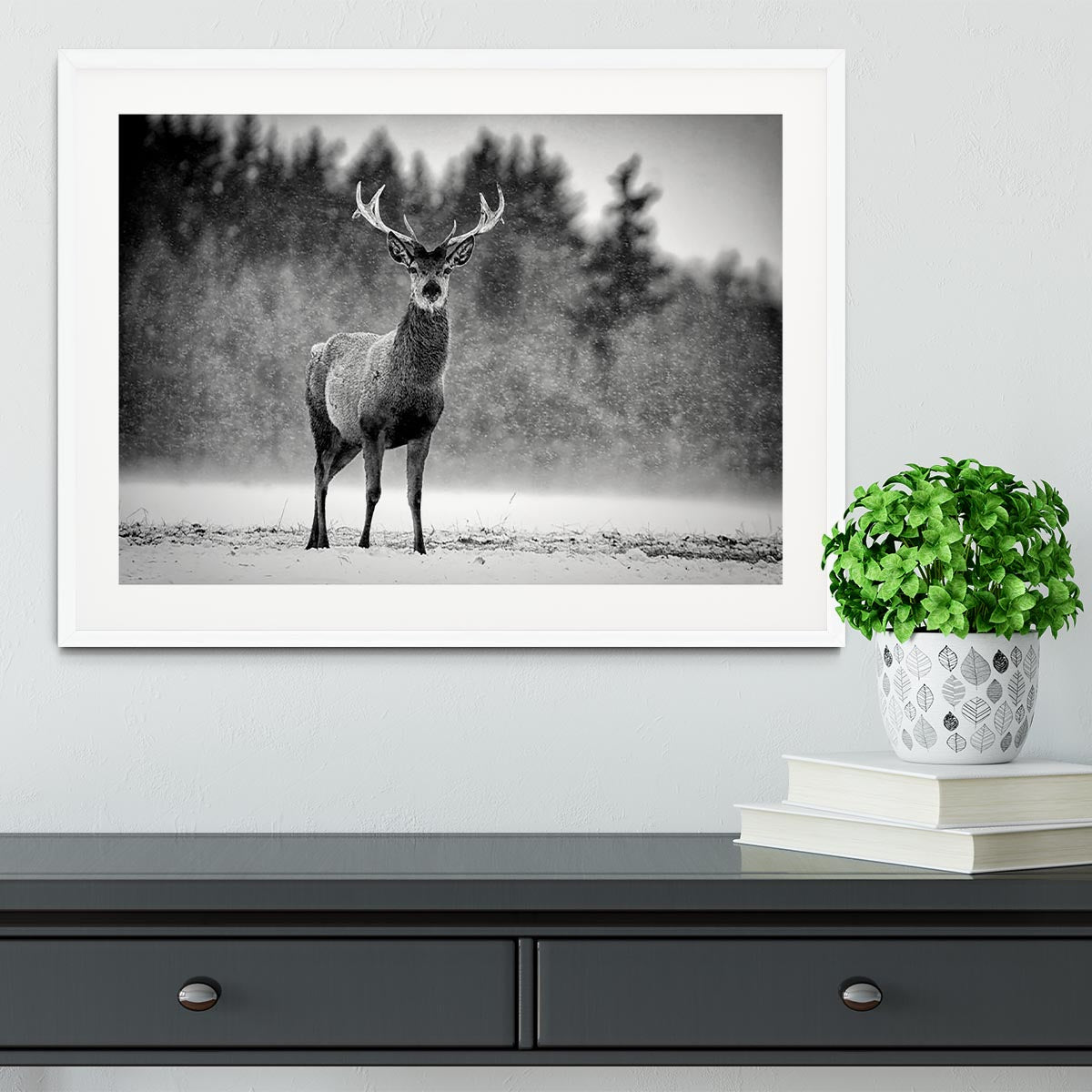Red Deer Stag Framed Print - Canvas Art Rocks - 5