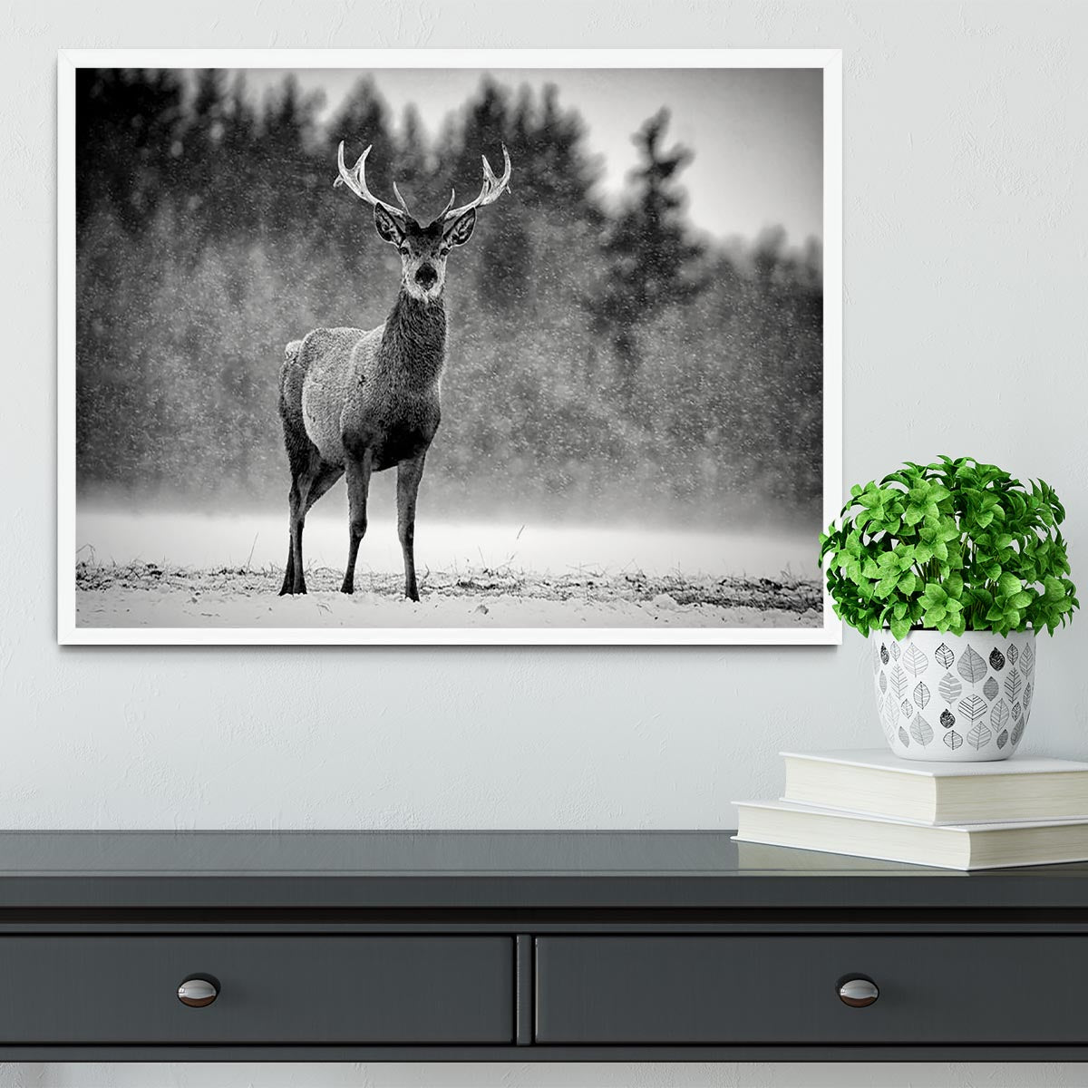 Red Deer Stag Framed Print - Canvas Art Rocks -6