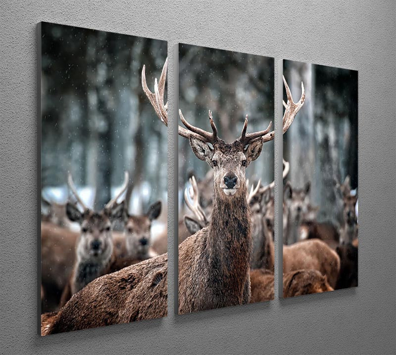 Red Deer Stag and Herd 3 Split Panel Canvas Print - Canvas Art Rocks - 2