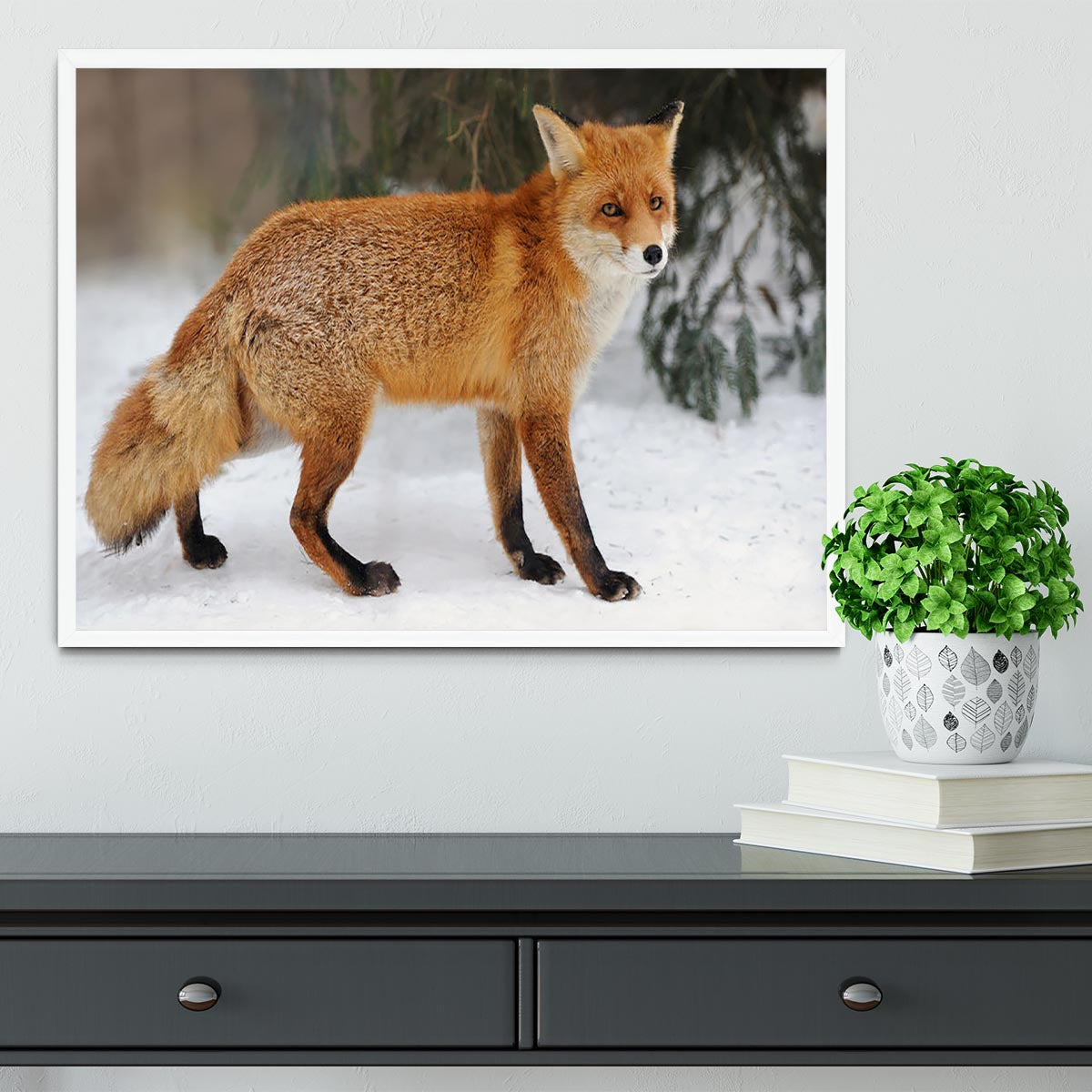 Red Fox Vulpes vulpes in winter time Framed Print - Canvas Art Rocks -6