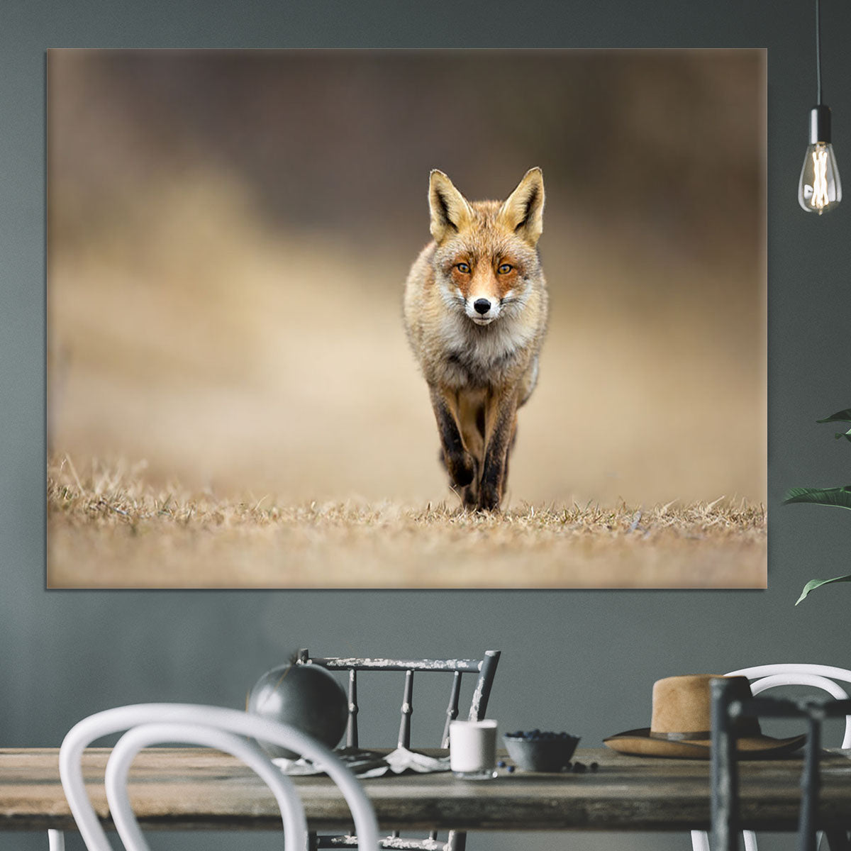 Red fox Canvas Print or Poster - Canvas Art Rocks - 3