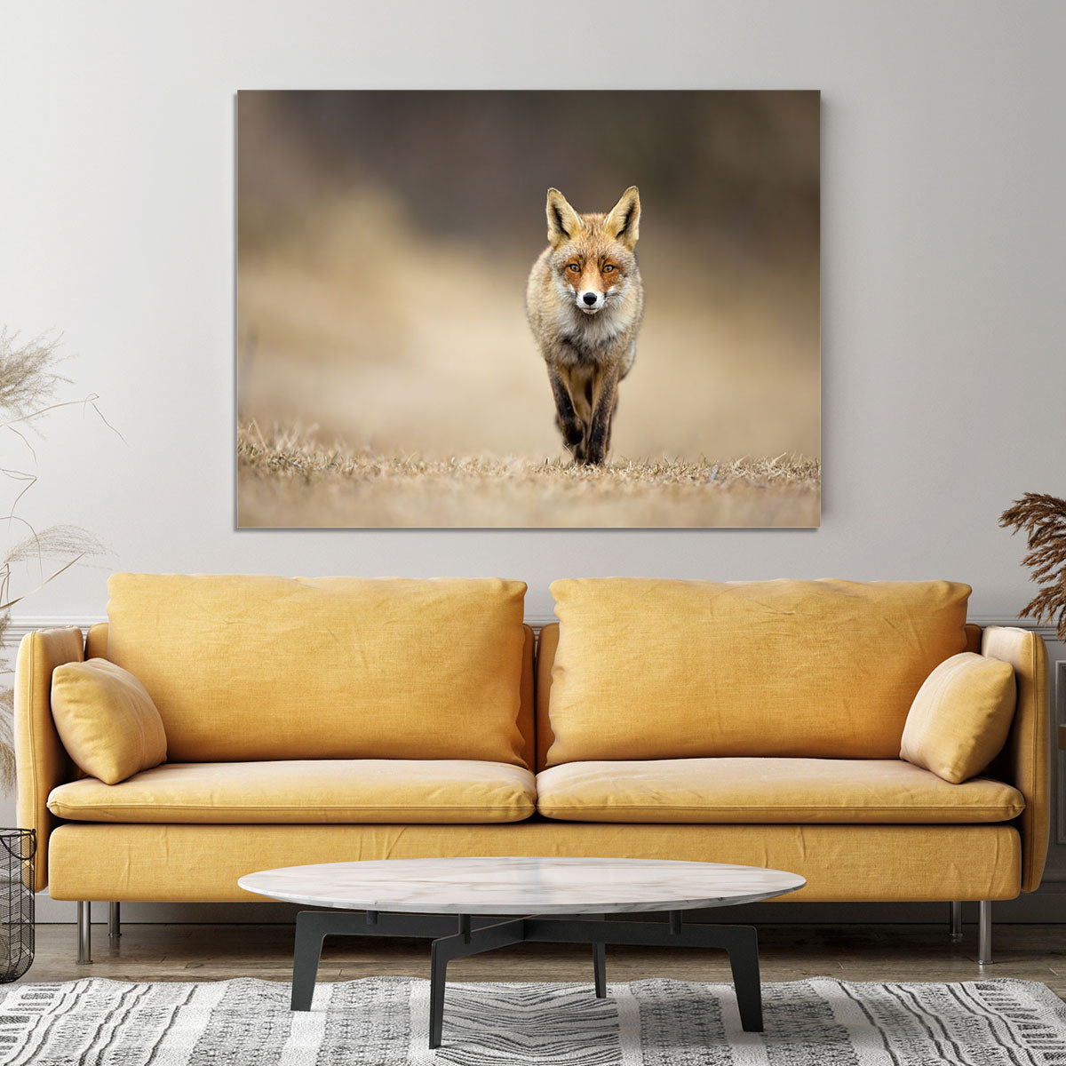 Red fox Canvas Print or Poster - Canvas Art Rocks - 4