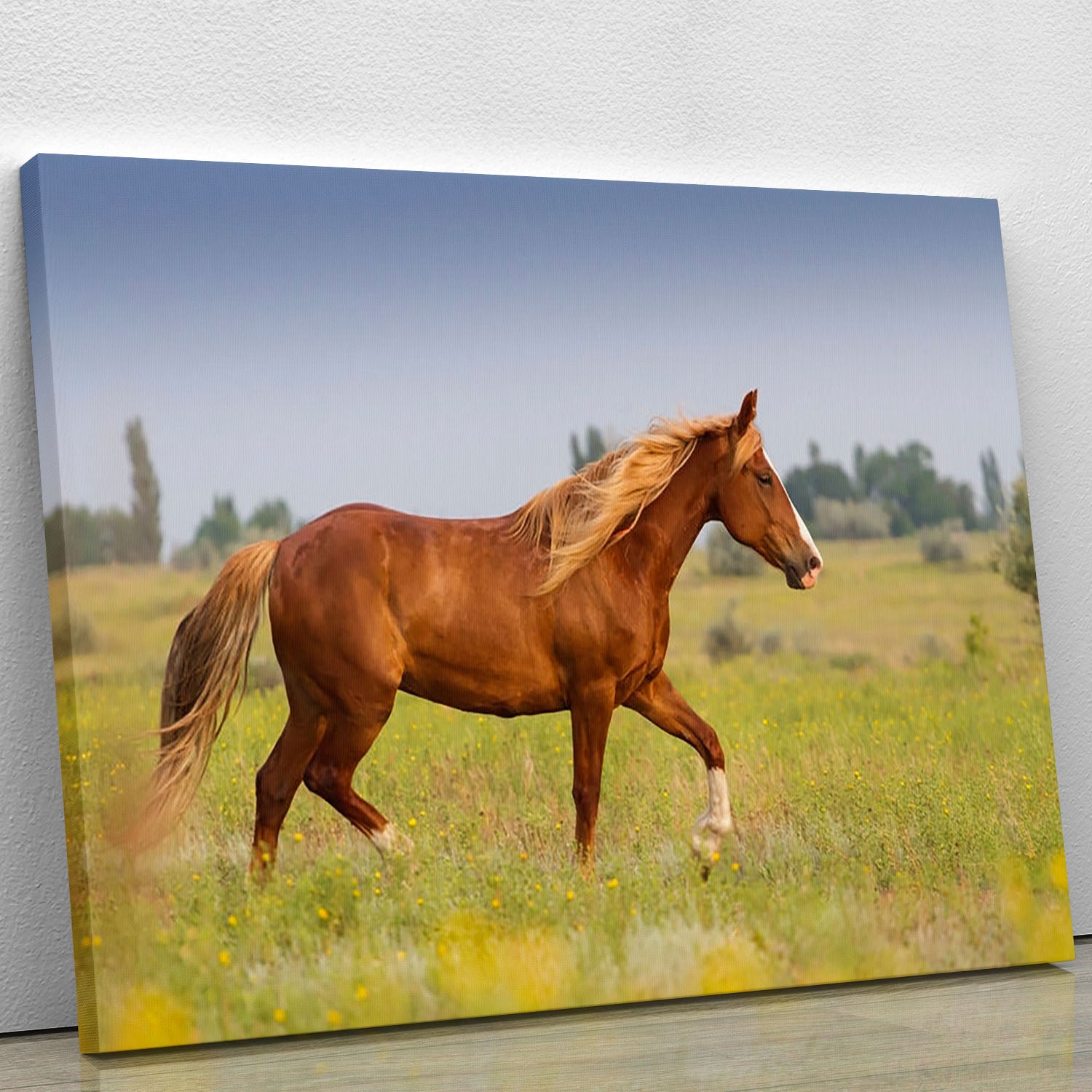 Red horse with long mane Canvas Print or Poster - Canvas Art Rocks - 1