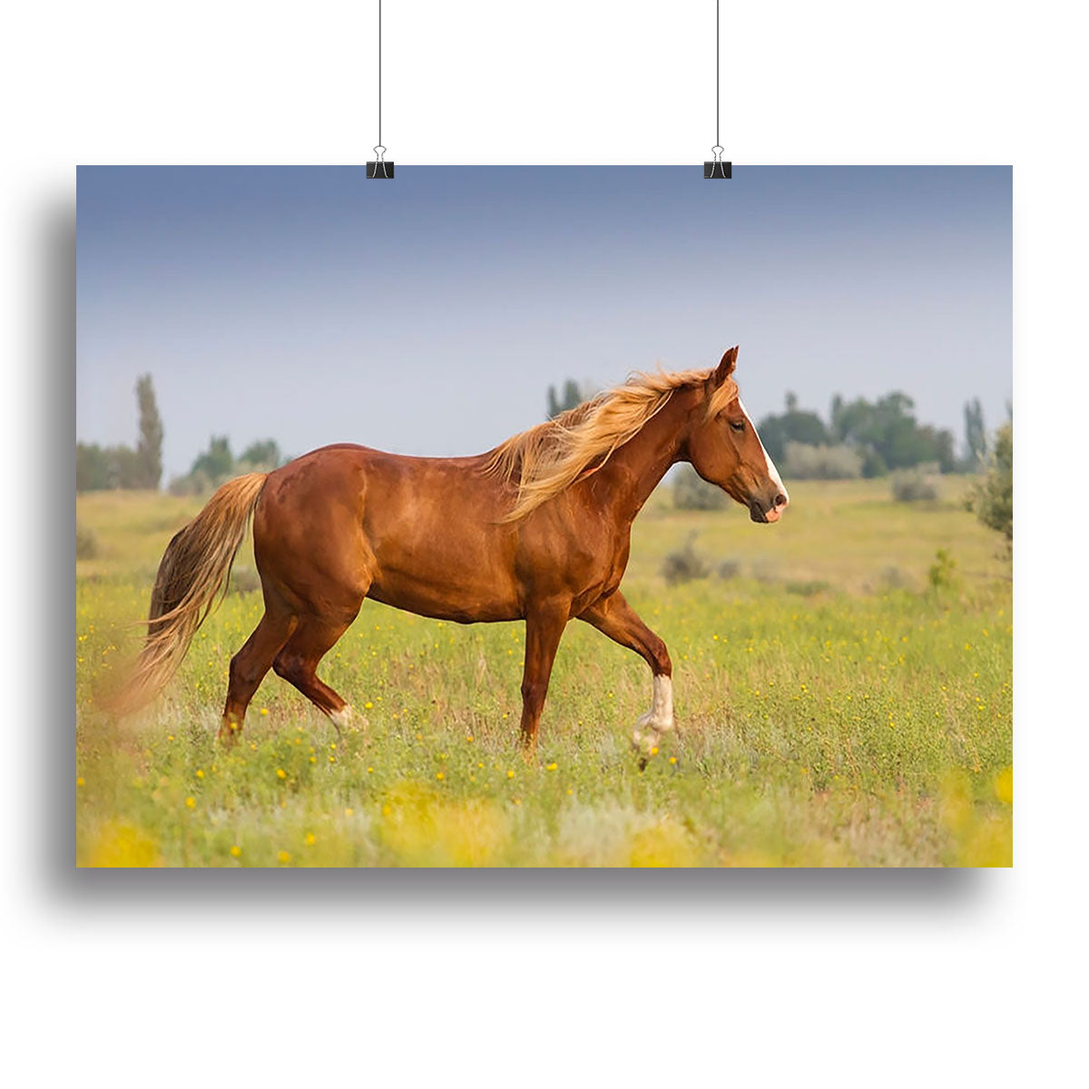 Red horse with long mane Canvas Print or Poster - Canvas Art Rocks - 2