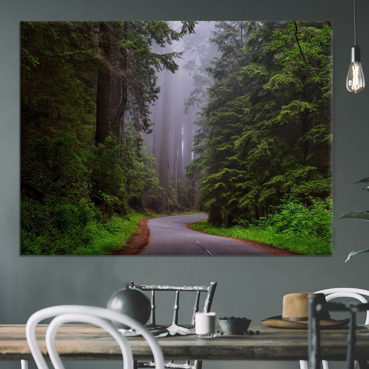 Redwood National Park Canvas Print or Poster - Canvas Art Rocks - 3