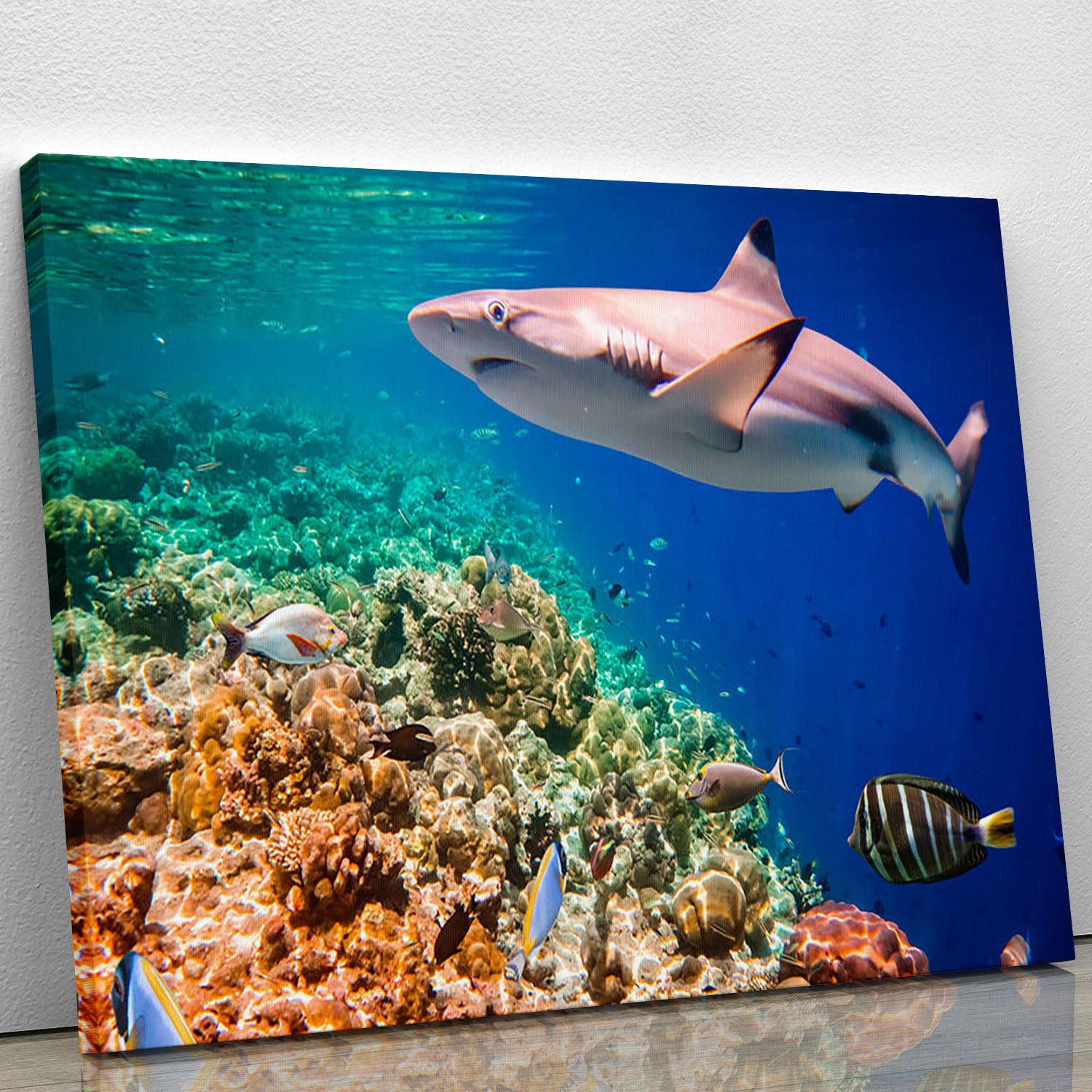 Reef with a variety of hard and soft corals and shark Canvas Print or Poster - Canvas Art Rocks - 1