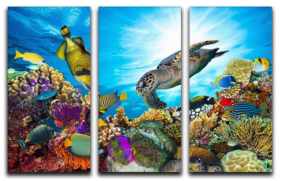 Reef with many fishes and sea turtle 3 Split Panel Canvas Print - Canvas Art Rocks - 1