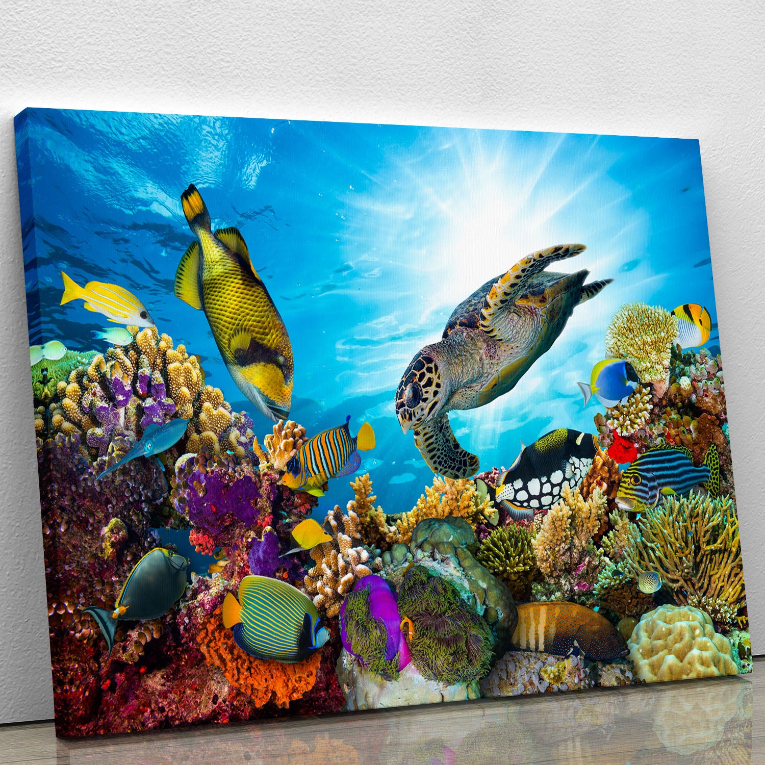Reef with many fishes and sea turtle Canvas Print or Poster - Canvas Art Rocks - 1