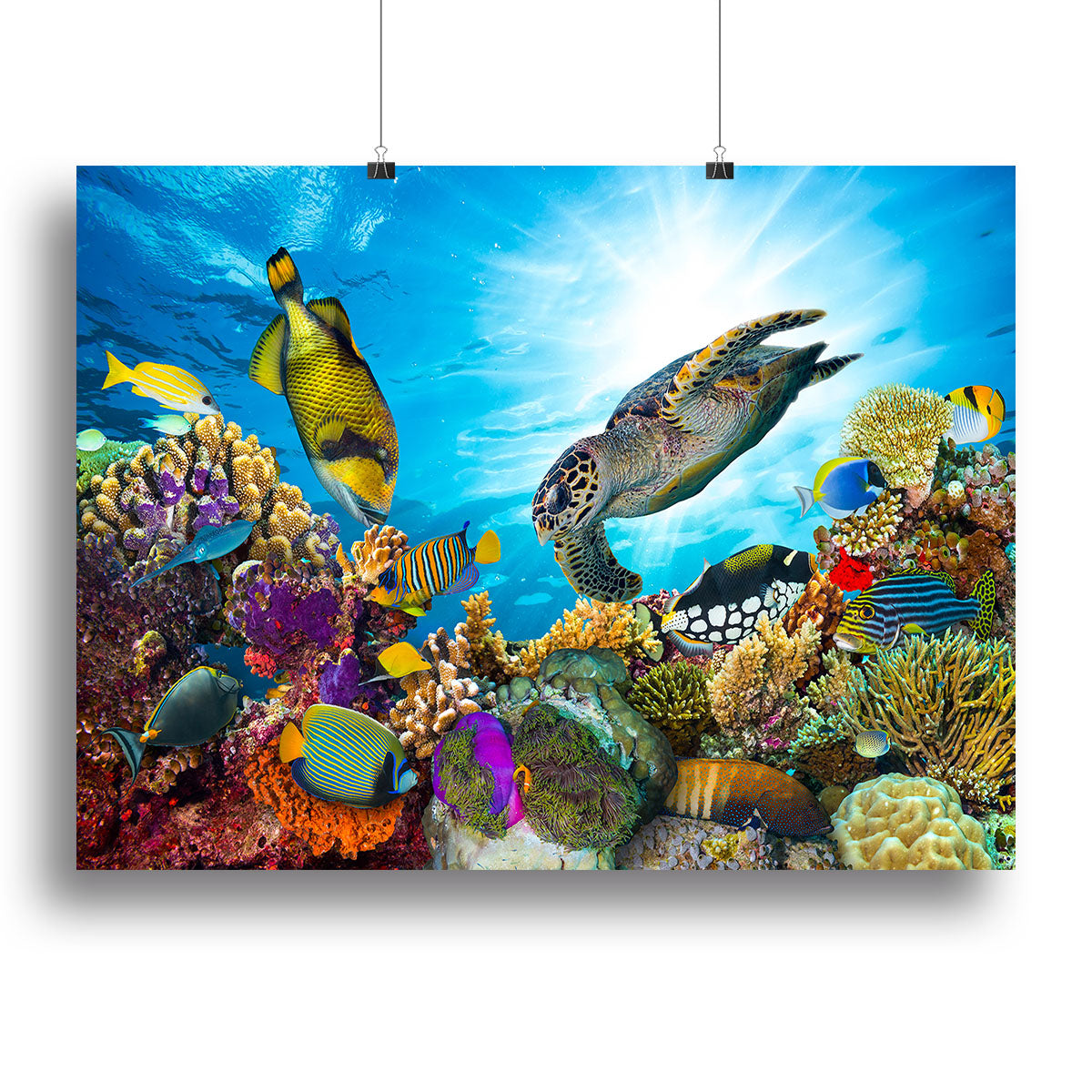 Reef with many fishes and sea turtle Canvas Print or Poster - Canvas Art Rocks - 2