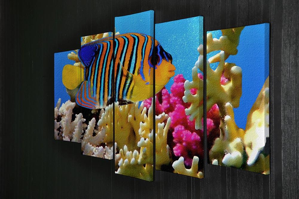 Regal angelfish 5 Split Panel Canvas  - Canvas Art Rocks - 2