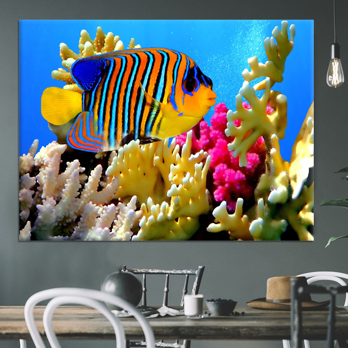 Regal angelfish Canvas Print or Poster - Canvas Art Rocks - 3