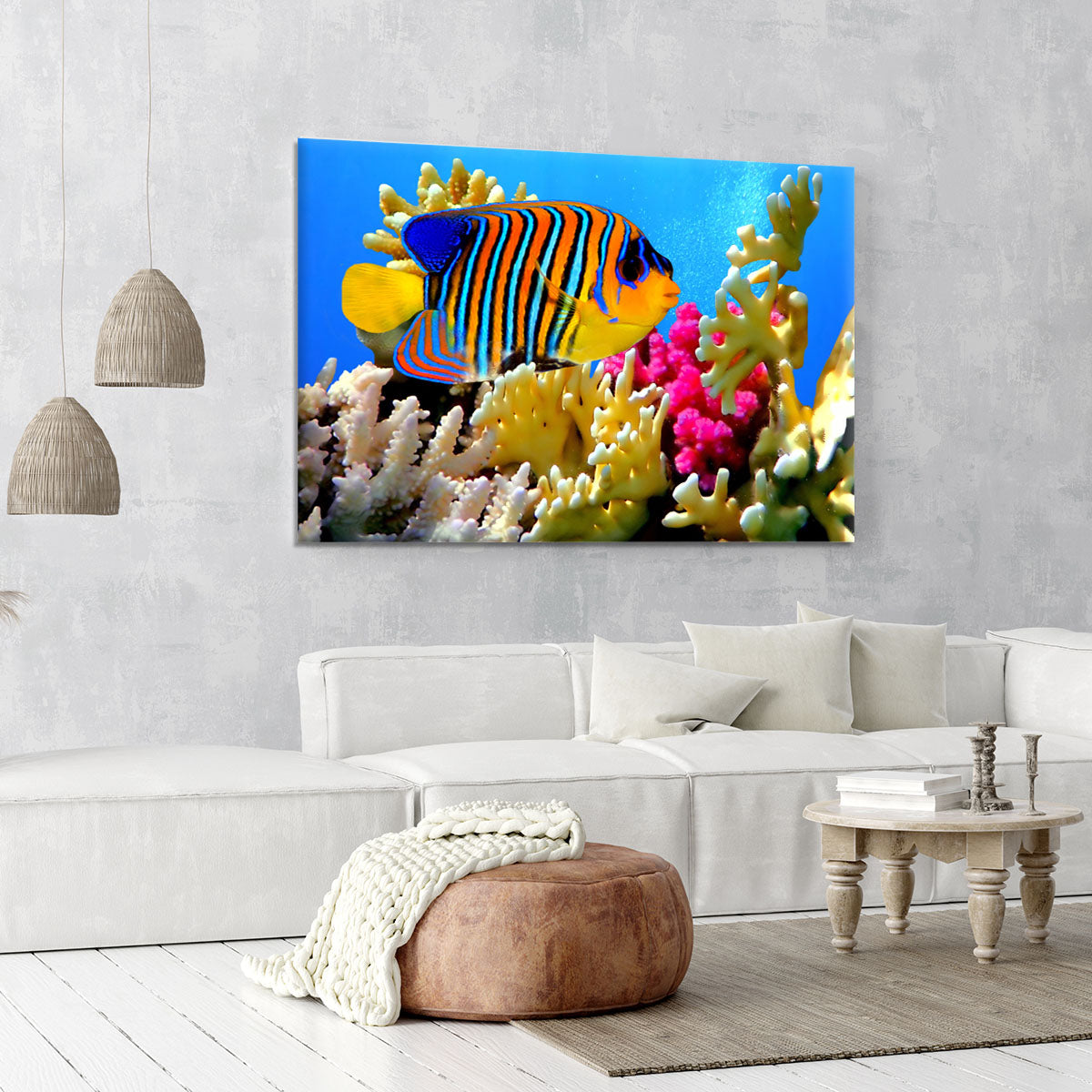 Regal angelfish Canvas Print or Poster - Canvas Art Rocks - 6