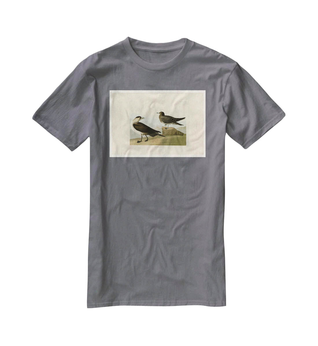 Richardsons Jager by Audubon T-Shirt - Canvas Art Rocks - 3