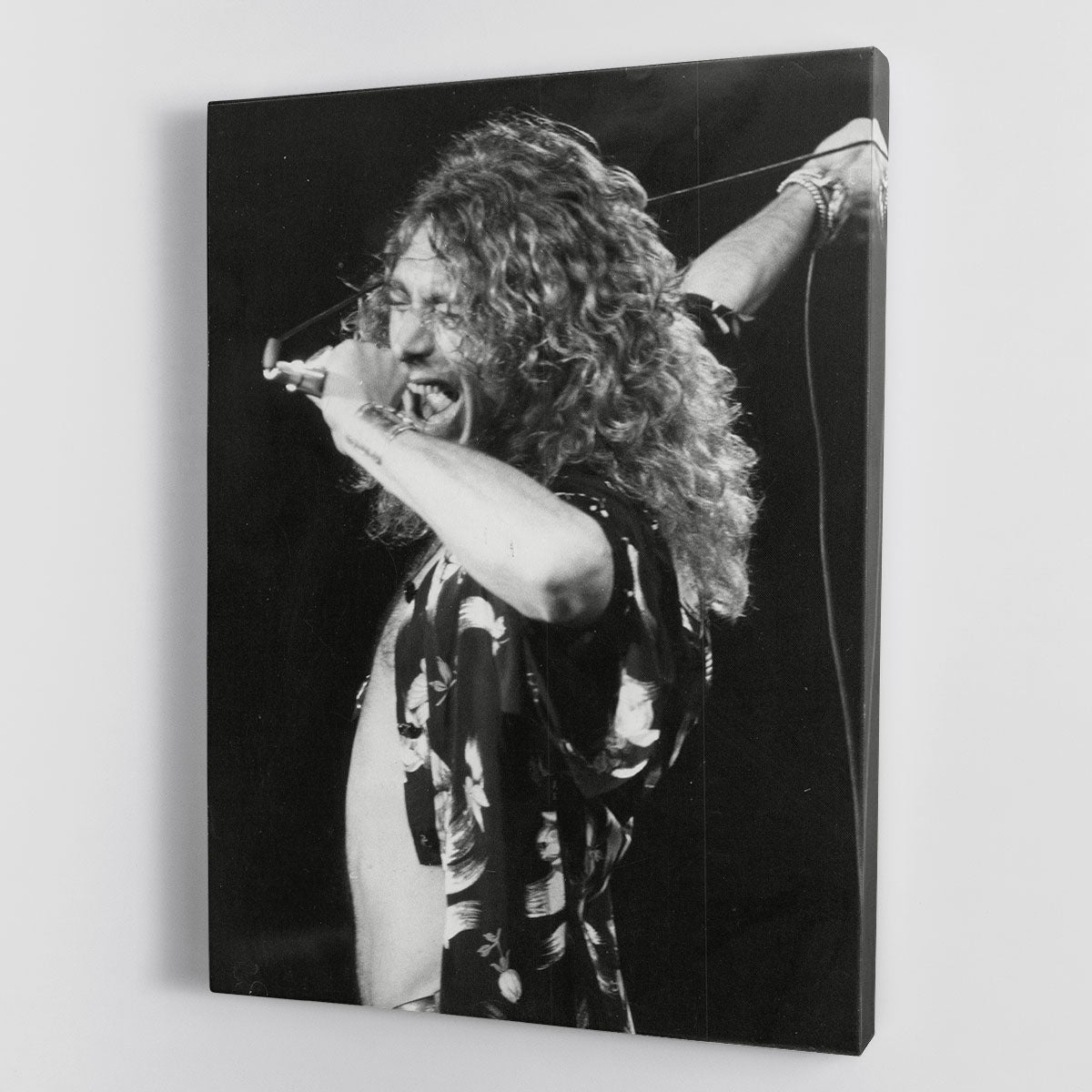 Robert Plant Canvas Print or Poster - Canvas Art Rocks - 1