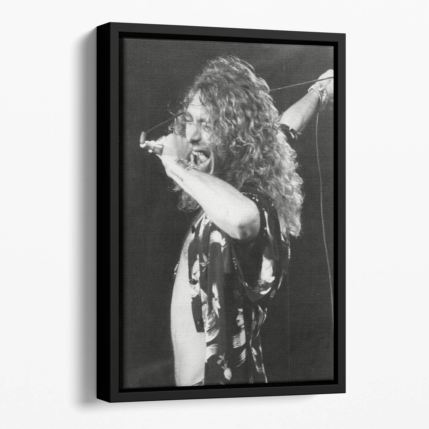 Robert Plant Floating Framed Canvas
