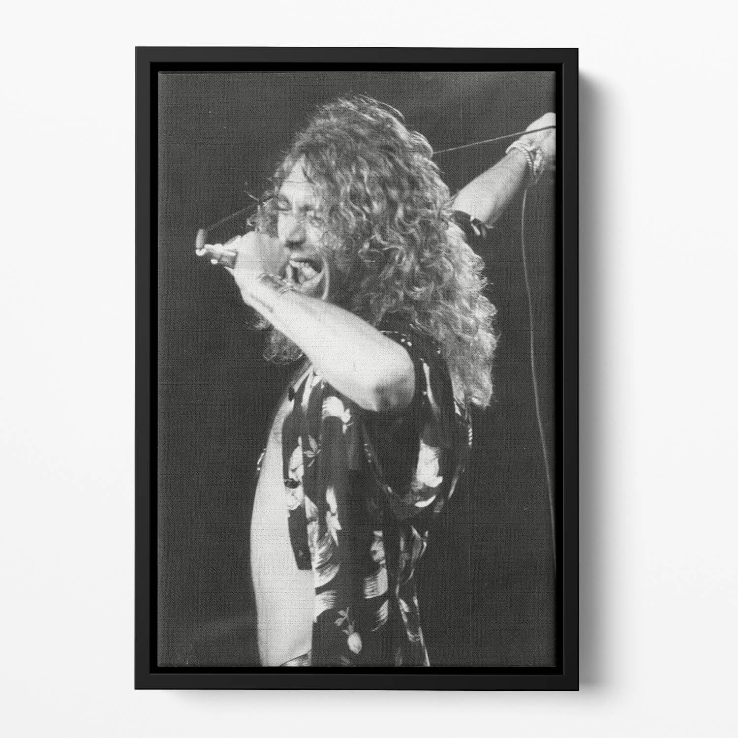 Robert Plant Floating Framed Canvas