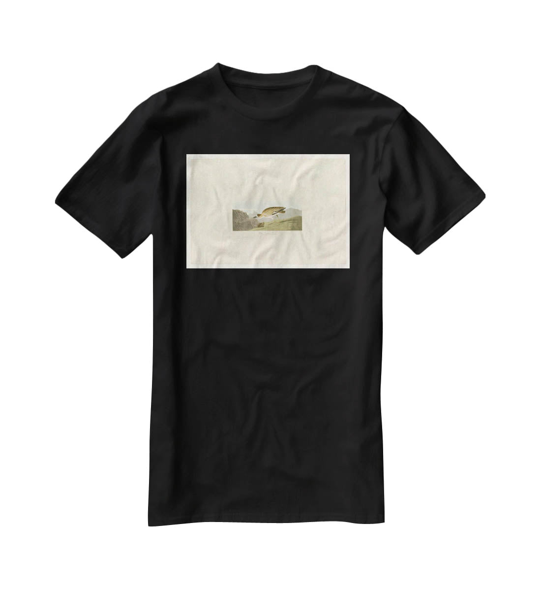 Rocky Mountain Plover by Audubon T-Shirt - Canvas Art Rocks - 1