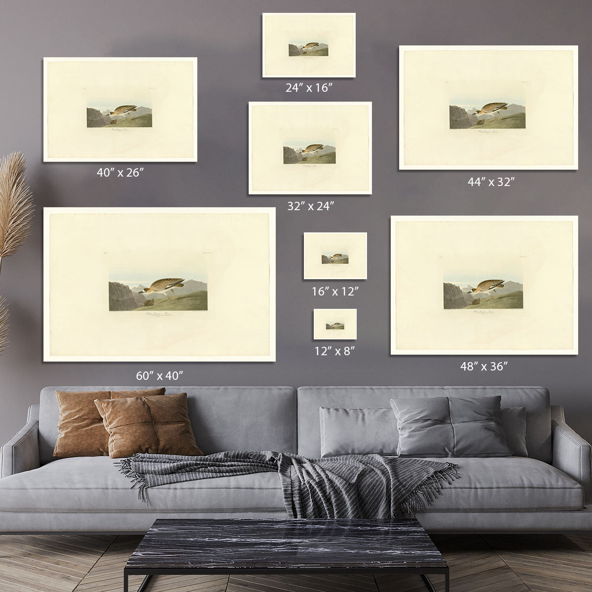 Rocky Mountain Plover by Audubon Canvas Print or Poster - Canvas Art Rocks - 7