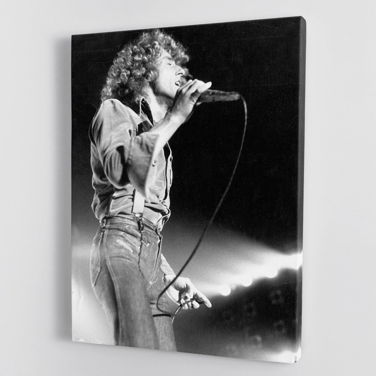 Roger Daltrey on stage Canvas Print or Poster - Canvas Art Rocks - 1