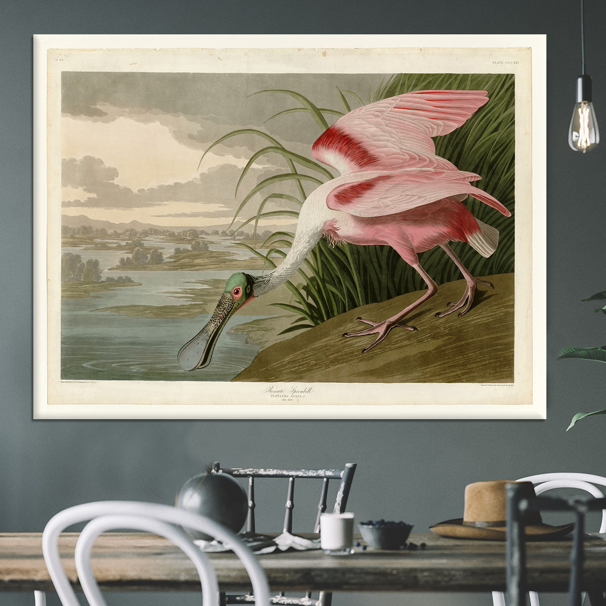 Roseate Spoonbill by Audubon Canvas Print or Poster - Canvas Art Rocks - 3