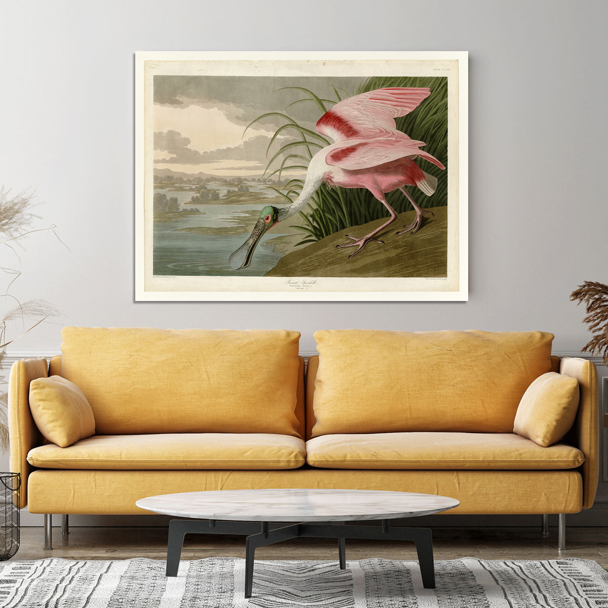 Roseate Spoonbill by Audubon Canvas Print or Poster - Canvas Art Rocks - 4