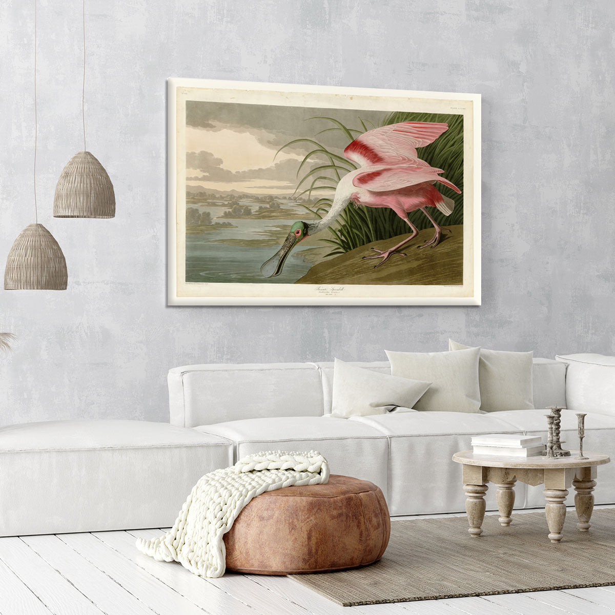 Roseate Spoonbill by Audubon Canvas Print or Poster - Canvas Art Rocks - 6