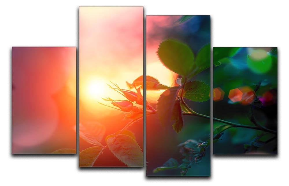 Rosebuds at sunset 4 Split Panel Canvas  - Canvas Art Rocks - 1