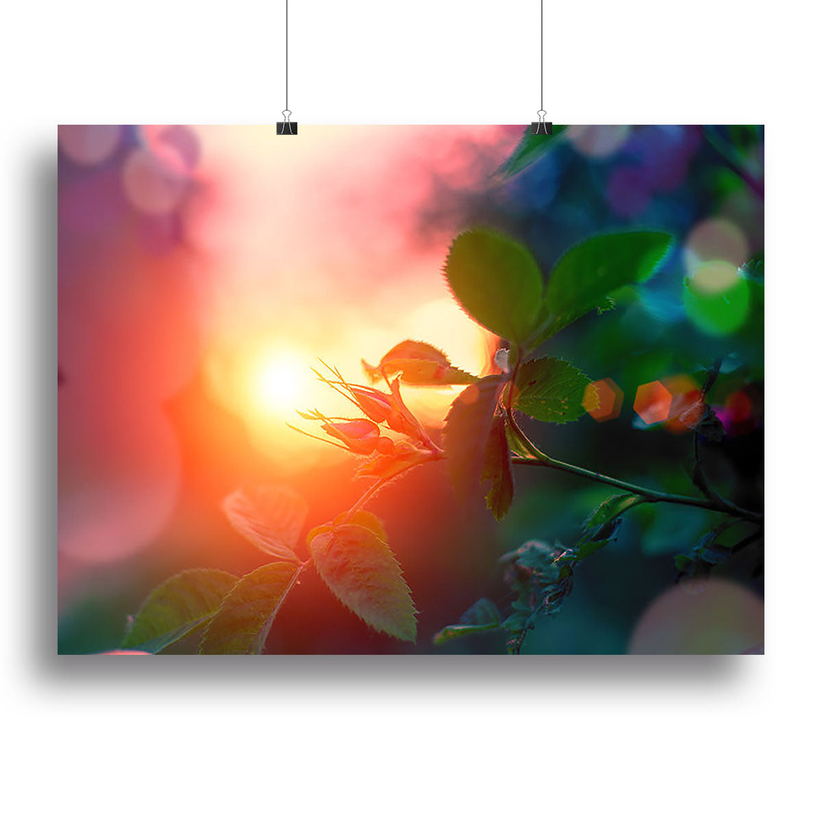 Rosebuds at sunset Canvas Print or Poster - Canvas Art Rocks - 2