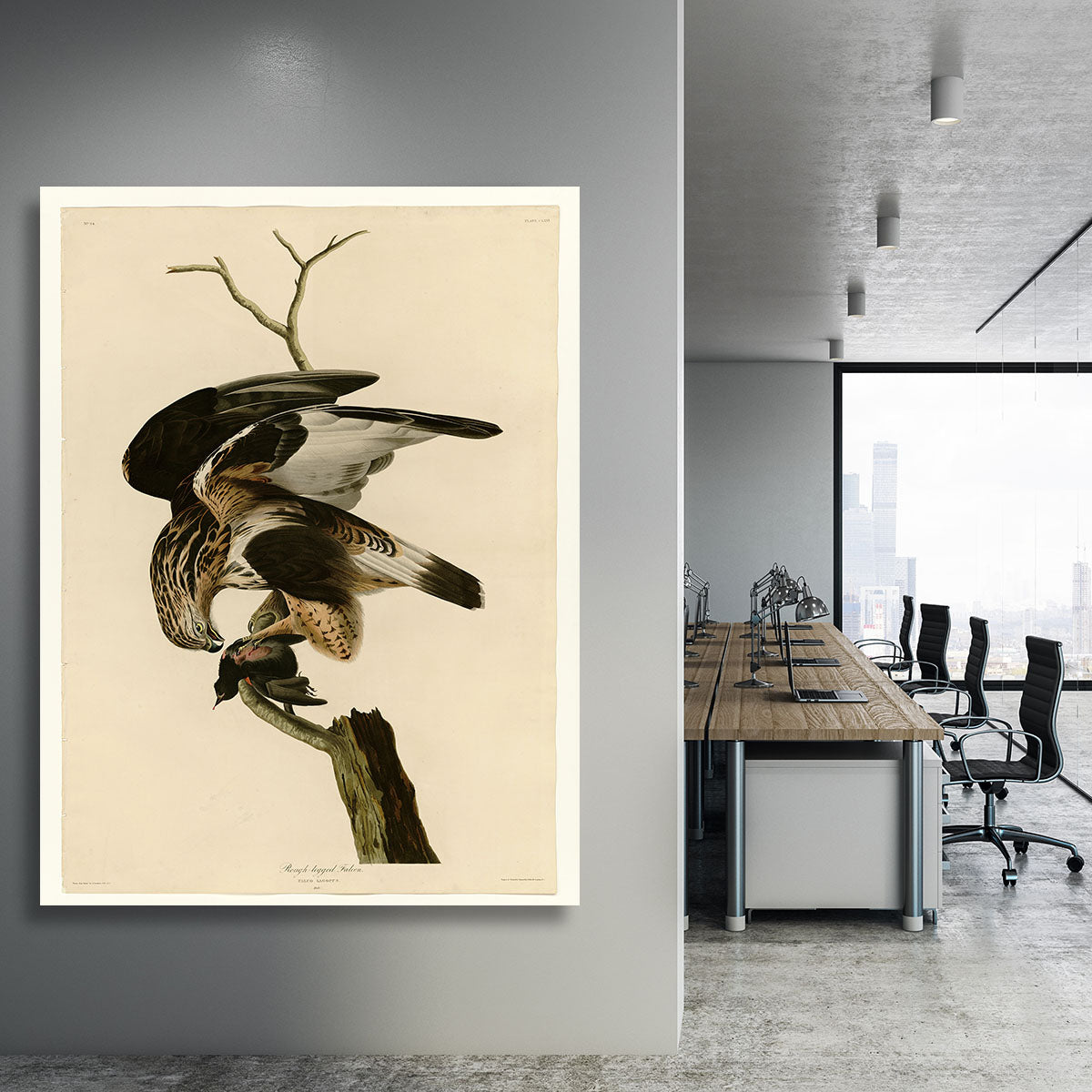 Rough legged Falcon by Audubon Canvas Print or Poster - Canvas Art Rocks - 3