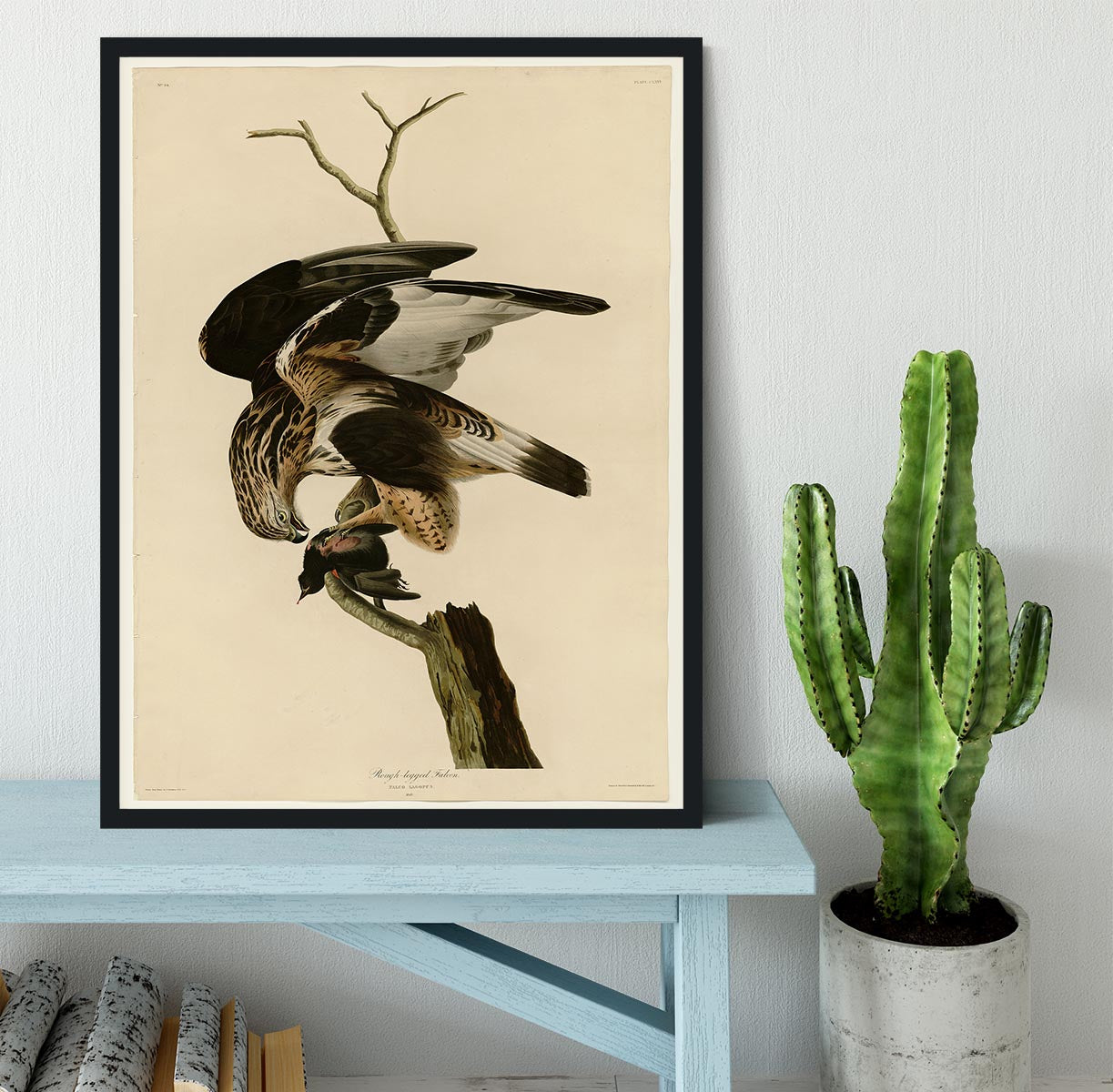 Rough legged Falcon by Audubon Framed Print - Canvas Art Rocks - 2