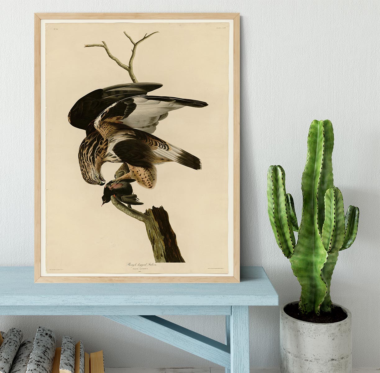 Rough legged Falcon by Audubon Framed Print - Canvas Art Rocks - 4